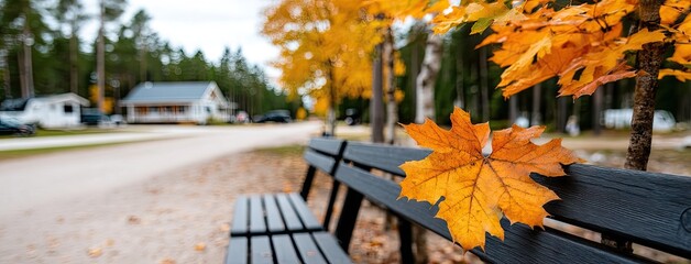 Obraz premium Serene autumn day on a quiet forest path with vibrant leaves and a peaceful bench inviting nature's tranquility