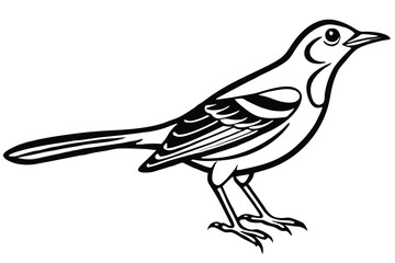Stylized Bird Illustration Black Outline of Perched Mockingbird with Detailed Wing Feathers