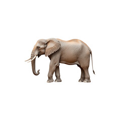 Obraz premium Majestic Elephant Portrait: A solitary elephant, majestic and colossal, gracefully strides against a clean backdrop, its immense presence a testament to the beauty and power of the wild. 