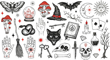 Witchcraft and magic elements vector illustration for halloween and occult art