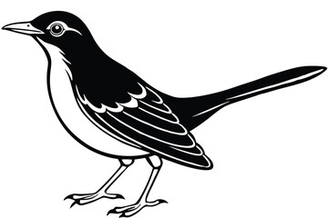 Monochrome Illustration of a Bird with Detailed Feathers and Leg Anatomy in Profile View