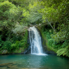 A serene landscape photograph of a cascading waterfall in a lush green forest setting.
