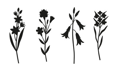 Set of wildflower silhouettes. Blooming perennial wild plants, minimal style. Botanical hand-drawn elements for design projects. Vector illustration