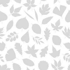 Seamless pattern with gray silhouettes of various leaves. Leaf of maple, linden, birch, oak, hawthorn, and ginkgo on white. Template for textile, package, wrapping paper. Vector illustration, minimal