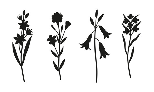 Set of wildflower silhouettes. Blooming perennial wild plants, minimal style. Botanical hand-drawn elements for design projects. Vector illustration
