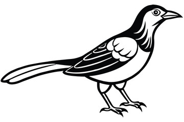 Obraz premium Black and White Bird Illustration Detailed Magpie Drawing with Sharp Claws and Feathers