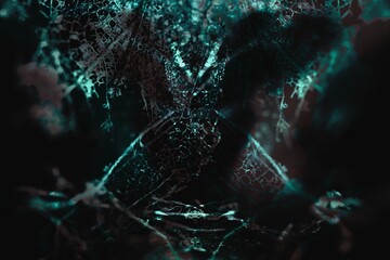 Horror forest pattern, black metal art