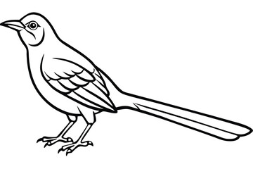 Monochrome Illustration of a Northern Mockingbird with Bold Outlines and Elongated Tail