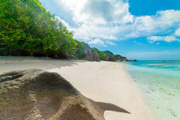 Sun shining over a tropical beach
