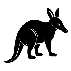 kangaroo vector illustration