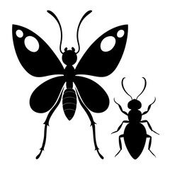 vector illustration of a butterfly