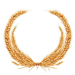 Horizontal wheat ears, Close-up of ripe wheat ears arranged horizontally, isolated on transparent background