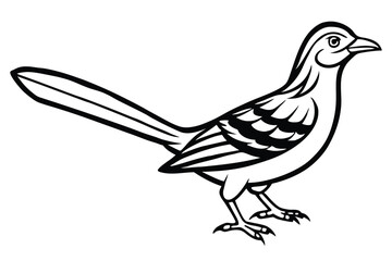 Black and White Illustration of a Roadrunner Bird with Long Tail Feathers