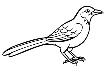 Detailed Mockingbird Illustration Side View Depicting Feathers, Beak, and Talons Outline Style