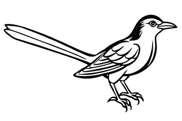 Black and White Illustration of a Northern Mockingbird with Detailed Feathers and Tail