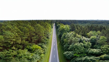 asphalt road with white center lines cutting straight through lush green forest isolated on white background