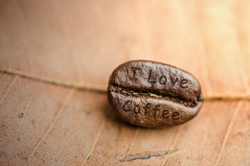 Coffee beans on dry brown leaf