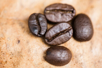 Coffee beans on dry brown leaf