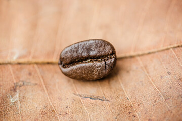 Coffee beans on dry brown leaf