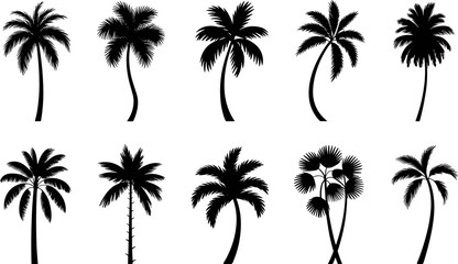 Palm Tree Silhouette Vector Set – Tropical Summer Island Icons