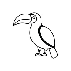 Obraz premium toucan line art