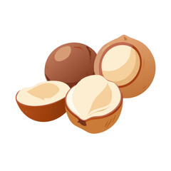Group of hazelnuts one whole and three halved isolated on transparent background
