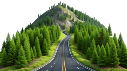 winding road in the forest