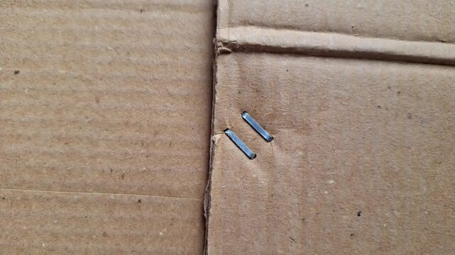 Metal staple on brown cardboard