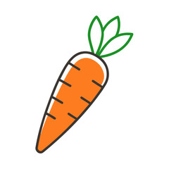 Carrot vector illustration, line art of yellow carrot with vitamin.