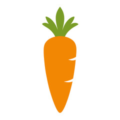 Silhouette of  yellow carrot. Carrot rich in vitamin-A.