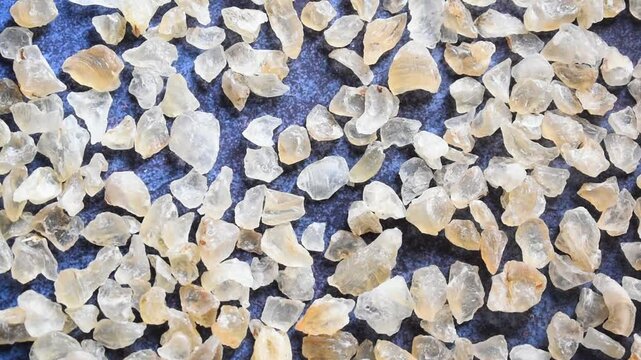 Raw whole dried Tragacanth gum