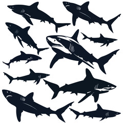Sharks silhouette isolated in White background