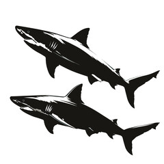 Fototapeta premium Sharks silhouette isolated in White background