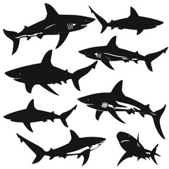 Sharks silhouette isolated in White background