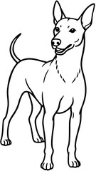 Obraz premium Dog standing with ears up, drawn with simple lines