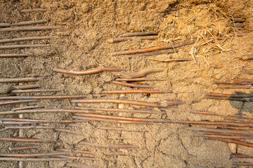 Earthen Wall Reinforced with Wooden Sticks in a Traditional Construction Technique © Boris