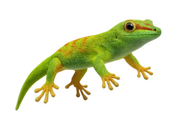 Vibrant green gecko lizard isolated on a transparent background, cut out