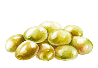 Handful of fresh green juicy olives hand drawn watercolor illustration isolated on white. Colorful pile of ripe fruits clipart for food, harvest design, restaurant menu, cafe, grocery, packaging