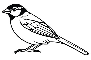 Isolated Vector Illustration of a Sparrow Standing Profile with Black Outline and Details