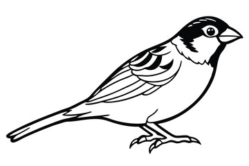 Fototapeta premium Sparrow Bird Vector Outline Drawing, Isolated Bird Illustration, Simple Bird Black and White