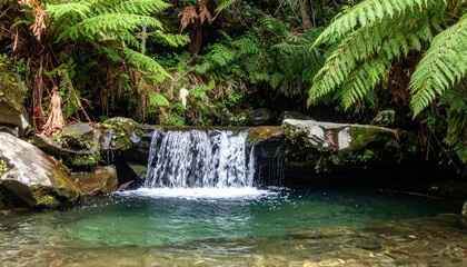 Serene Waterfall Flowing Through Lush Green Ferns in Nature Scene