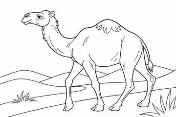 Fototapeta premium coloring page line art the camel black vector