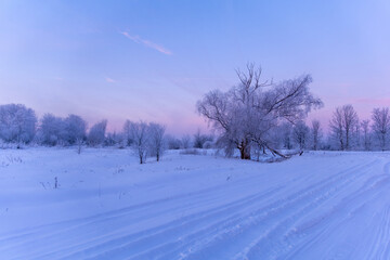 winter landscape with snow