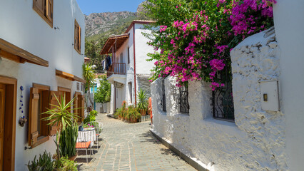 Street with white houses and fences with blooming bougainvillea on background of mountains in city Kas, Turkey