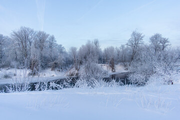 snow covered trees in winter