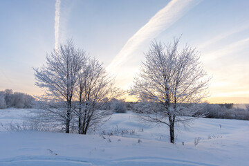 winter landscape with trees and snow