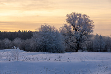 sunrise in winter