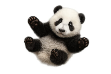 Naklejka premium Cute baby panda bear lying on its back, isolated on transparent background.