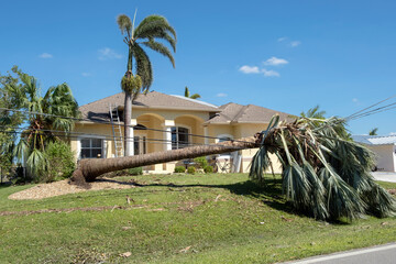 Electricity outage as consequences of natural disaster. Damaged power lines after hurricane wind...