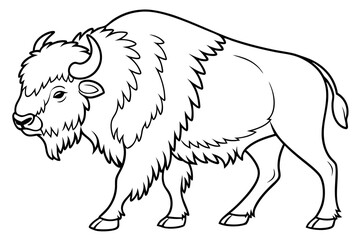 coloring page line art the buffalo black vector